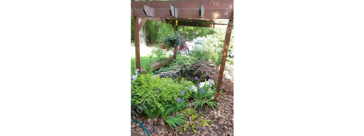 Wildlife Habitats